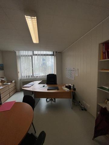 Locaux professionnels avec garage