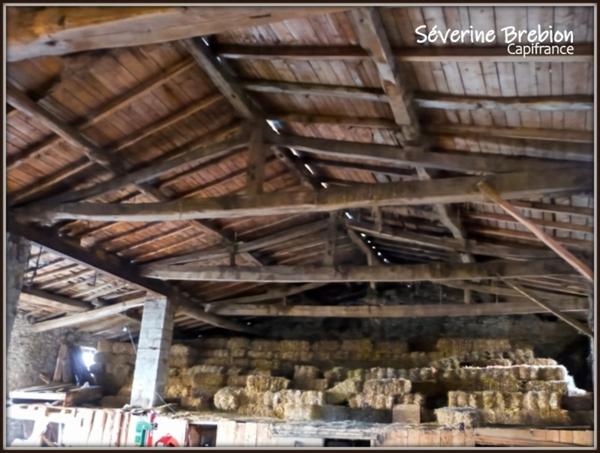 A vendre maison à rénover avec grange et terrain VISCOMTAT (63)