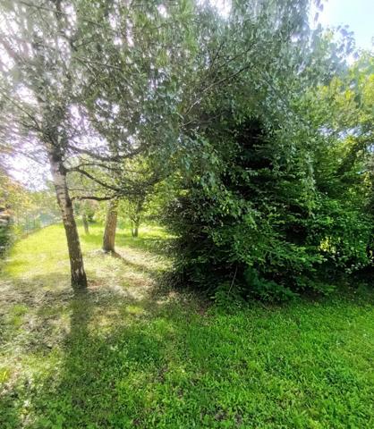 Vente / Maison à Auxerre (89000)