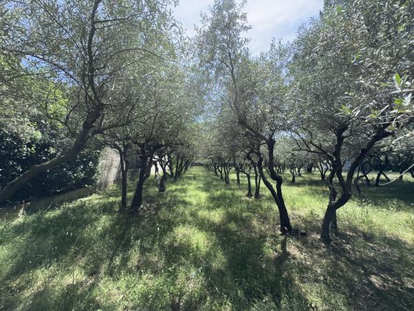 Maison de plain pied "Plateau de Belleveue" Villeneuve Les Avignon