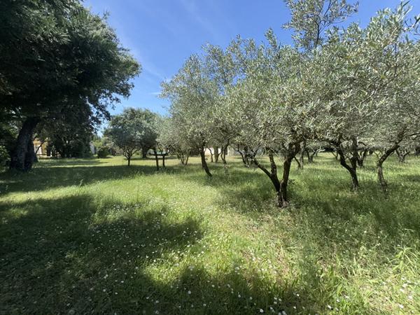 Maison de plain pied "Plateau de Belleveue" Villeneuve Les Avignon