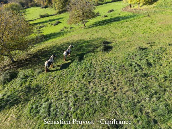 Dpt Dordogne (24), à vendre proche de THIVIERS propriete rurale P12 de 315 m² - Terrain de 50000 m²-Grange 120m2