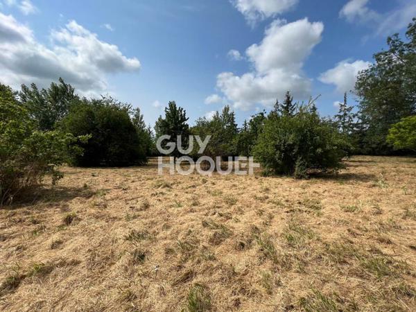 A Vendre, Maison de 245 m² habitables sur 6560 m² de terrain centre village avec commerces.