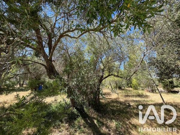 Maison à vendre 6 pièces 140,5 m² Pignan