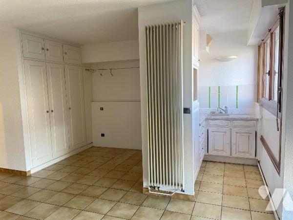 STRASBOURG PETITE FRANCE, appartement 1 pièce