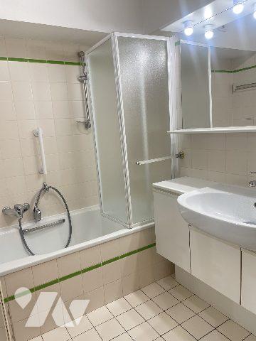 STRASBOURG PETITE FRANCE, appartement 1 pièce