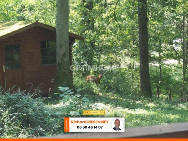 Chalet 2 pièces SAINT CHERON (91) en nature