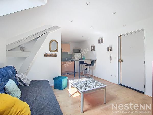 Appartement duplex meublé, Nancy F1 MEZZANINE - 38 m2 (surface carrez 20.63m²)