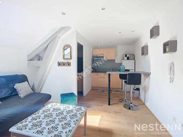 Appartement duplex meublé, Nancy F1 MEZZANINE - 38 m2 (surface carrez 20.63m²)