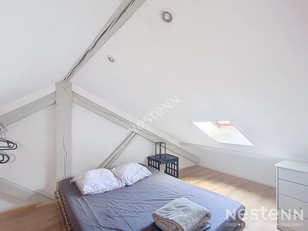 Appartement duplex meublé, Nancy F1 MEZZANINE - 38 m2 (surface carrez 20.63m²)