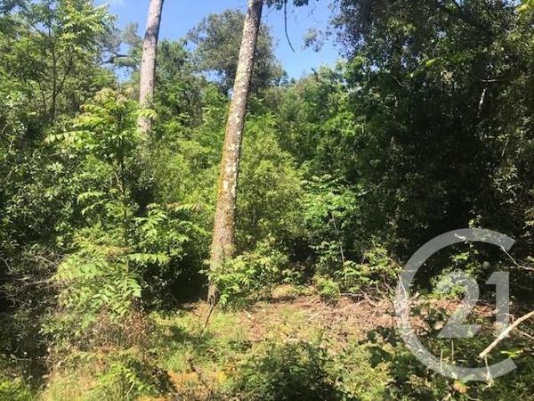 maison à vendre  5 pièces - 78,20 m2 ST TROJAN LES BAINS - 17