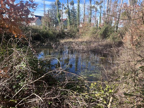 Maison Chatillon Sur Indre 11 pièce(s) 158.4 m2