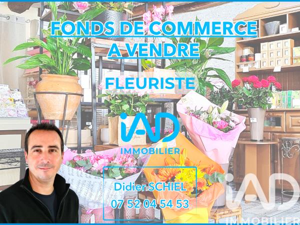 Cadeaux, Fleurs​ à vendre 56 m² Angerville