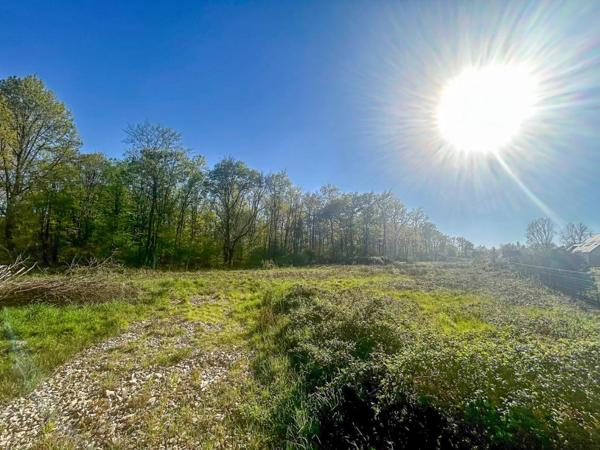 Terrain Villefranche Sur Cher 6800 m2