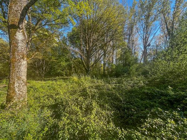 Terrain Villefranche Sur Cher 6800 m2