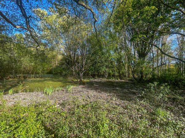 Terrain Villefranche Sur Cher 6800 m2