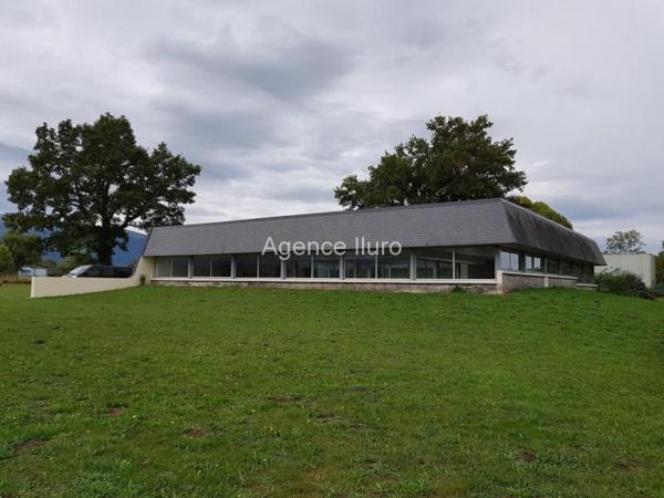 Bureau(x) - Entre oloron et pau - Réf.:204767 BUREAUX PLAIN PIED DE 415 M² SUR TERRAIN DE 4500 M²