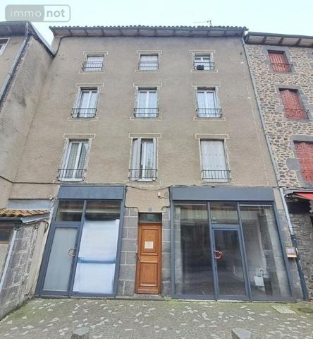 Immeuble de rapport à vendre à Saint-Flour dans le Cantal (15100), ref : 044/1247