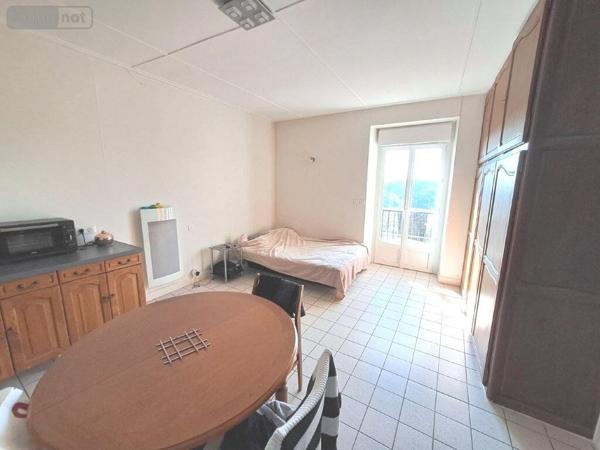 Immeuble de rapport à vendre à Saint-Flour dans le Cantal (15100), ref : 044/1247