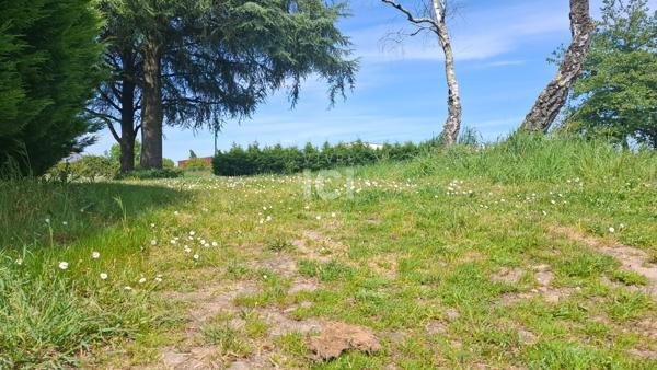Terrain Rouans 410 m2