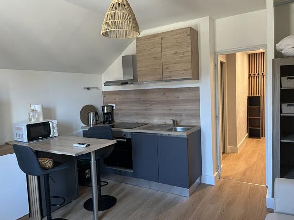 Appartement studio de charme 21 m2 hyper centre d'Aix les bains entièrement rénové et meublé