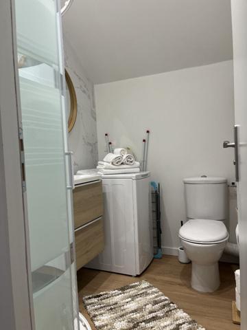 Appartement studio de charme 21 m2 hyper centre d'Aix les bains entièrement rénové et meublé