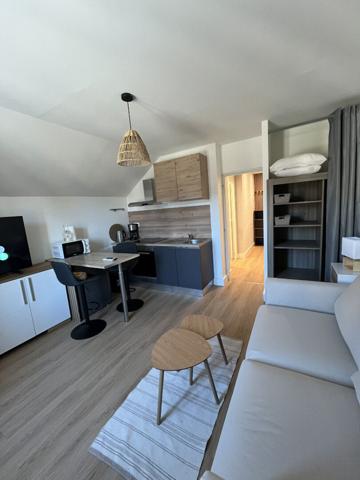 Appartement studio de charme 21 m2 hyper centre d'Aix les bains entièrement rénové et meublé