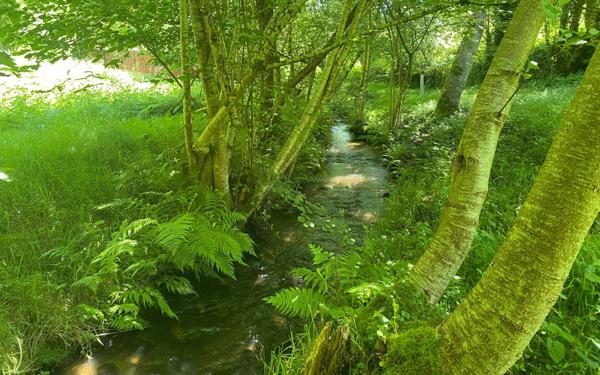 Maison à vendre    4 pièces • 104 m2 Gandelain