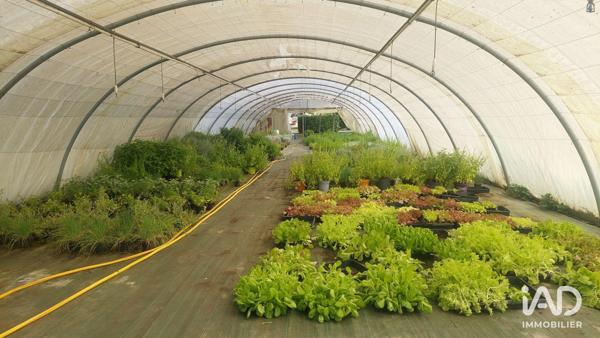 Murs commerciaux  à vendre 800 m² Saint-Magne-de-Castillon