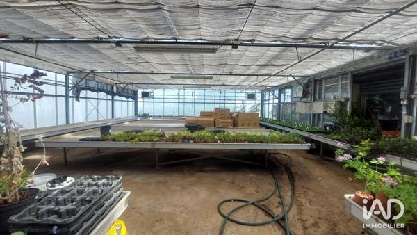 Murs commerciaux  à vendre 800 m² Saint-Magne-de-Castillon