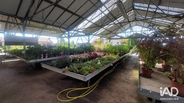 Murs commerciaux  à vendre 800 m² Saint-Magne-de-Castillon