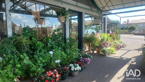 Murs commerciaux  à vendre 800 m² Saint-Magne-de-Castillon