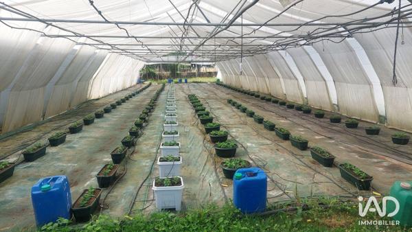 Murs commerciaux  à vendre 800 m² Saint-Magne-de-Castillon