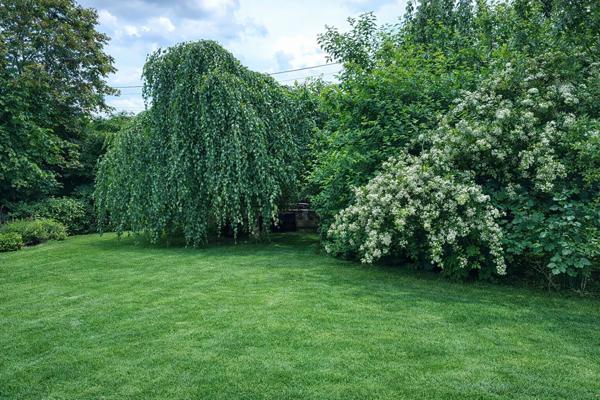 EXCLUSIVITÉ ? MAISON DE CARACTÈRE À FONDETTES (37)