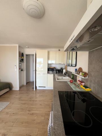 Cannes (06400) APPARTEMENT AVEC VUE MER