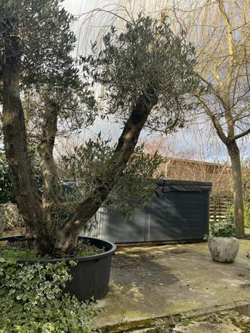 Vente Maison 6 pièces 306 m2 à Laon