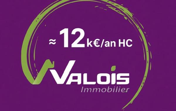 Vente Immeuble Panazol