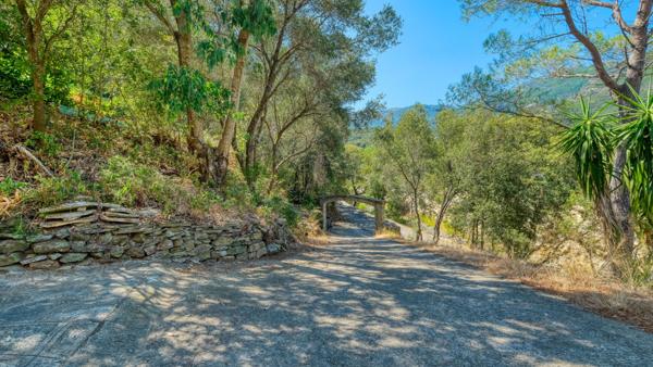 Bâtisse San Martino Di Lota 8 pièce(s) 217.7 m2 quatre appartements