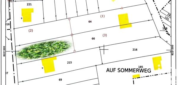 Terrain à vendre 1 233 m² Théding