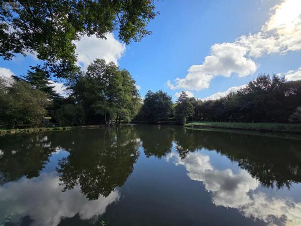 Achat - Terrain de loisirs, bois, étangs | Étang Vimartin-sur-Orthe 53160 18 m 2 6031 m 2