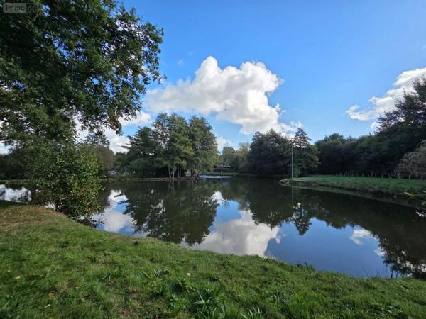 Achat - Terrain de loisirs, bois, étangs | Étang Vimartin-sur-Orthe 53160 18 m 2 6031 m 2