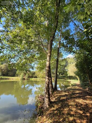 Achat - Terrain de loisirs, bois, étangs | Étang Vimartin-sur-Orthe 53160 18 m 2 6031 m 2