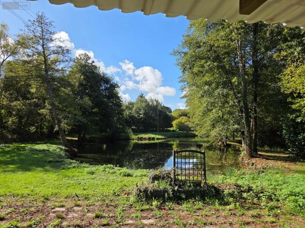 Achat - Terrain de loisirs, bois, étangs | Étang Vimartin-sur-Orthe 53160 18 m 2 6031 m 2