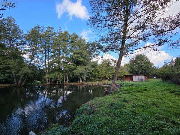 Achat - Terrain de loisirs, bois, étangs | Étang Vimartin-sur-Orthe 53160 18 m 2 6031 m 2