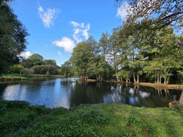 Achat - Terrain de loisirs, bois, étangs | Étang Vimartin-sur-Orthe 53160 18 m 2 6031 m 2