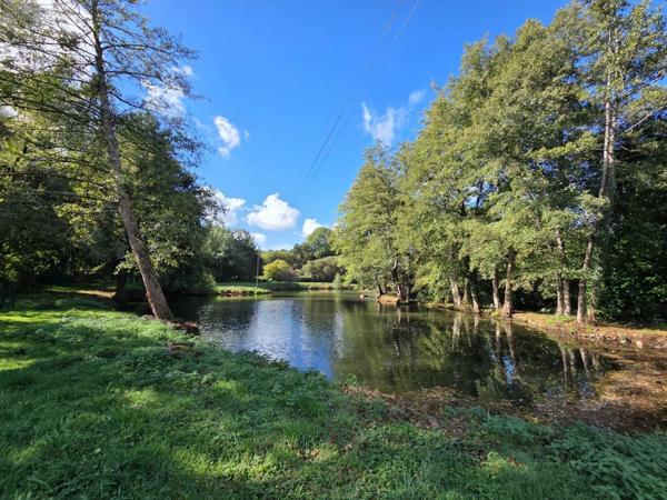 Achat - Terrain de loisirs, bois, étangs | Étang Vimartin-sur-Orthe 53160 18 m 2 6031 m 2