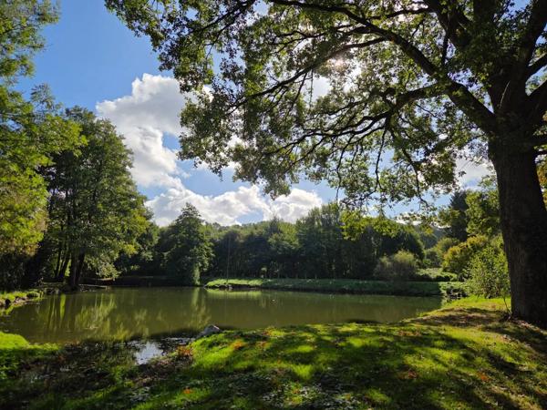 Achat - Terrain de loisirs, bois, étangs | Étang Vimartin-sur-Orthe 53160 18 m 2 6031 m 2