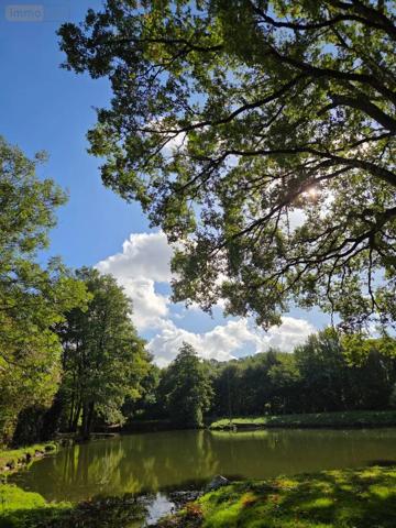 Achat - Terrain de loisirs, bois, étangs | Étang Vimartin-sur-Orthe 53160 18 m 2 6031 m 2