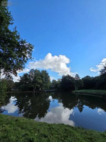 Achat - Terrain de loisirs, bois, étangs | Étang Vimartin-sur-Orthe 53160 18 m 2 6031 m 2