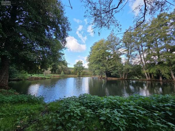 Achat - Terrain de loisirs, bois, étangs | Étang Vimartin-sur-Orthe 53160 18 m 2 6031 m 2